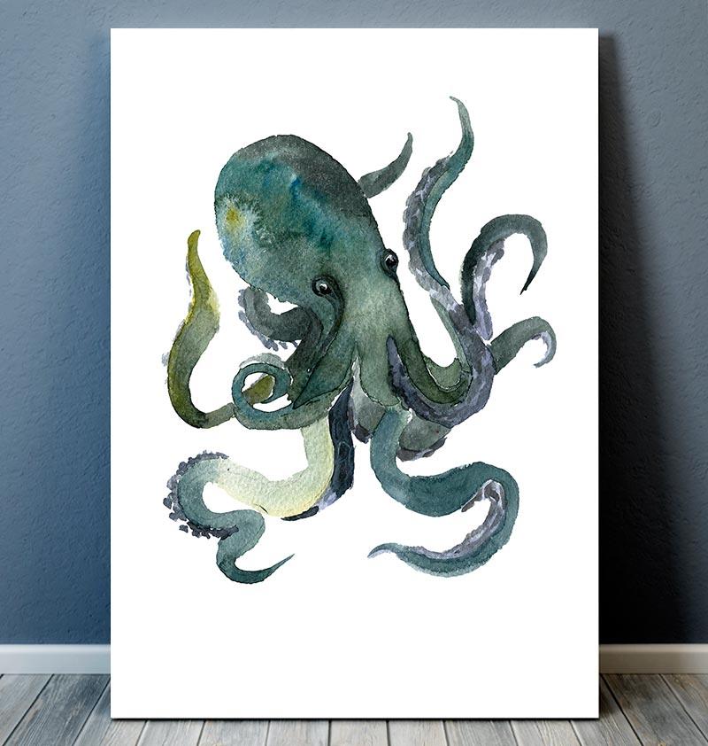 800x842 Octopus Ii - Marine Watercolor