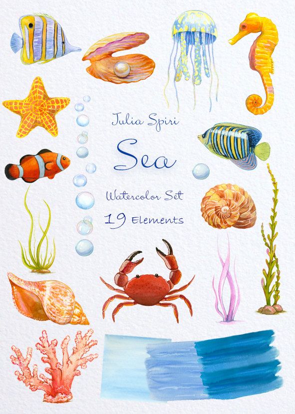 591x827 Watercolor Sea Clipart, Marine, Ocean, Fish, Starfish, Pearl - Marine Watercolor