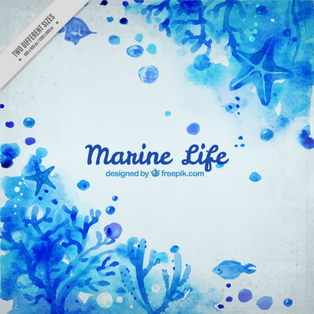 626x626 Blue Watercolor Marine Background Vector Free Download - Marine Watercolor