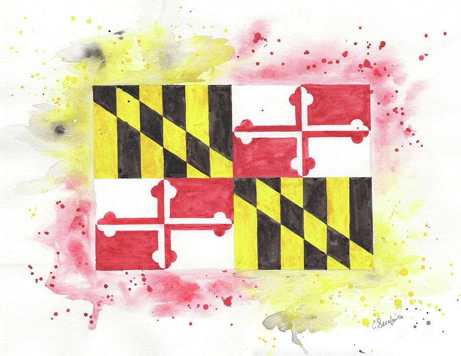 900x695 Maryland Flag In Watercolor Painting By Caroline Serafinas - Maryland Watercolor