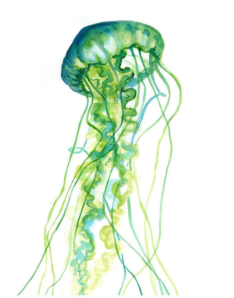792x1008 Green Jellyfish Watercolor Print - Medusa Watercolor