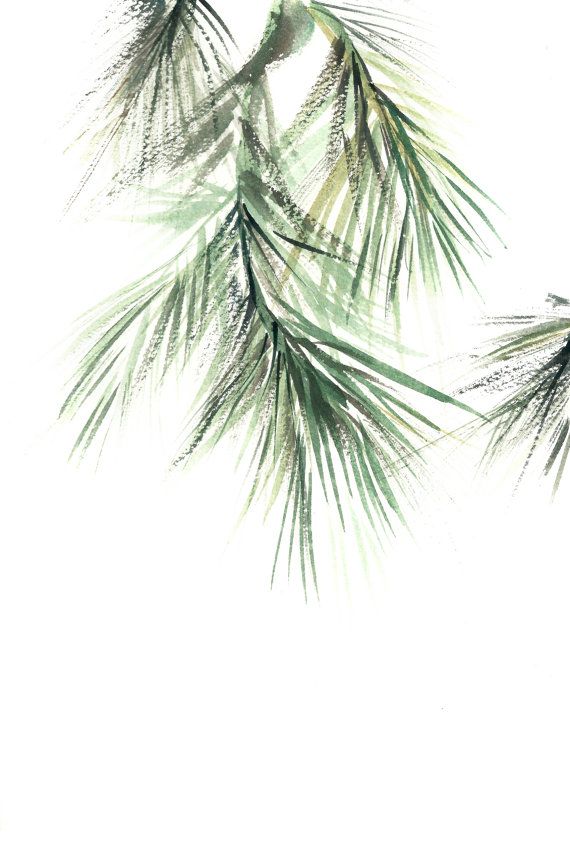 570x855 Pine Tree Branch Minimalist Fine Art Print, Botanical Watercolor - Minimalist Watercolor