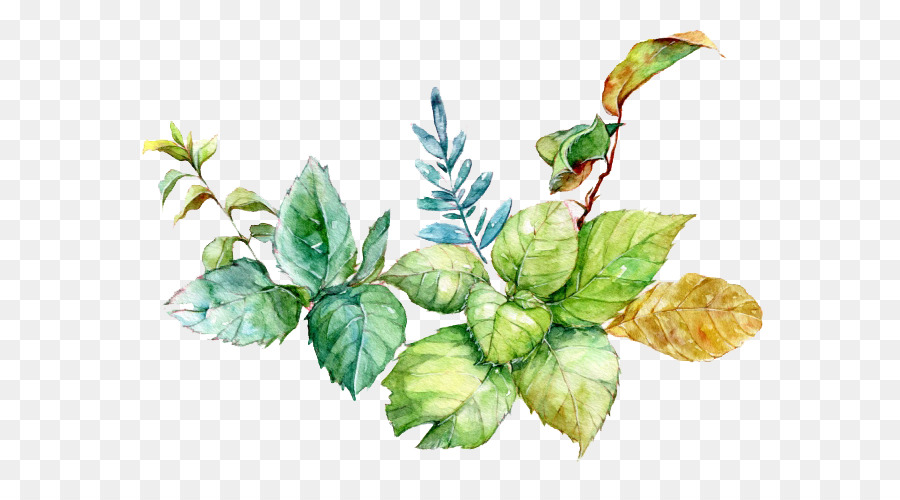 900x500 Watercolor Painting Download - Mint Watercolor