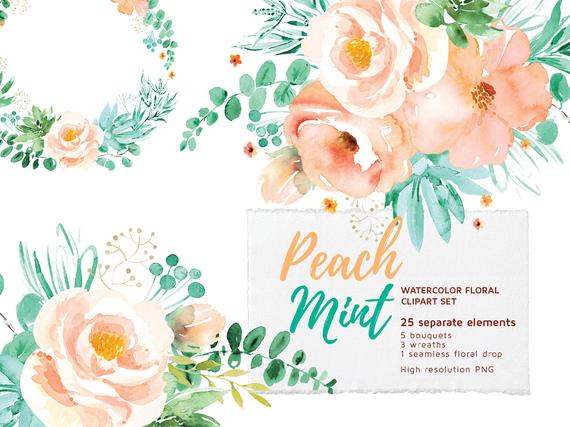 570x427 Peach Mint Floral Clipart Set Watercolor Flowers Clip Art Etsy - Mint Watercolor Flowers