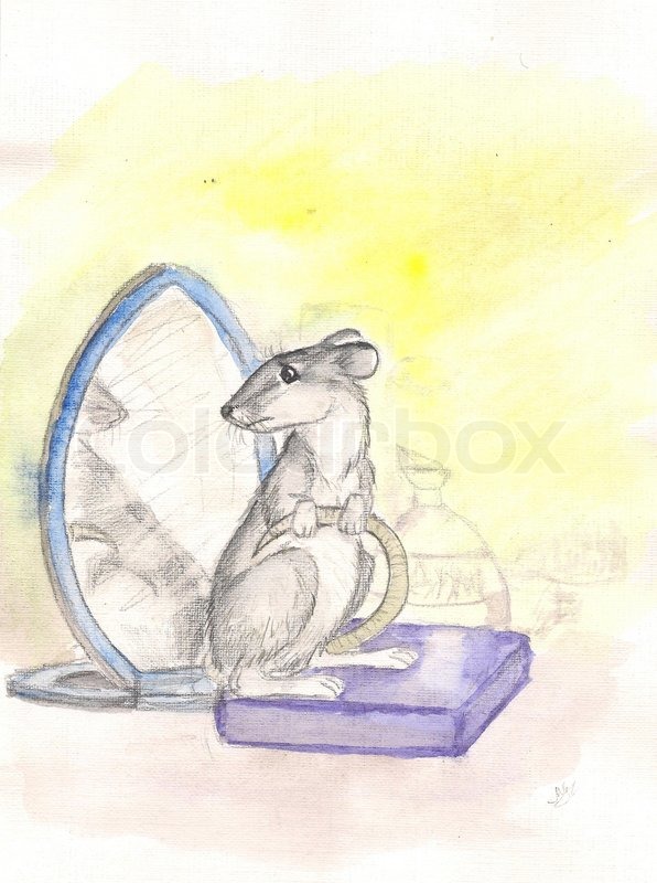 596x800 Rat And A Mirror. Watercolor Stock Photo Colourbox - Mirror Watercolor