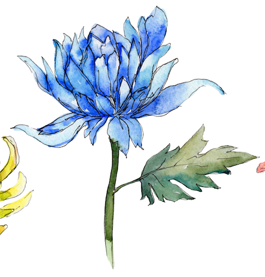 546x571 Beginning Watercolor Class For Adults Starts March 27 - Mirror Watercolor