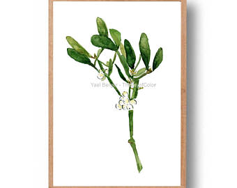 340x270 Mistletoe Art Print Mistletoe Watercolor Print Mistletoe Etsy - Mistletoe Watercolor