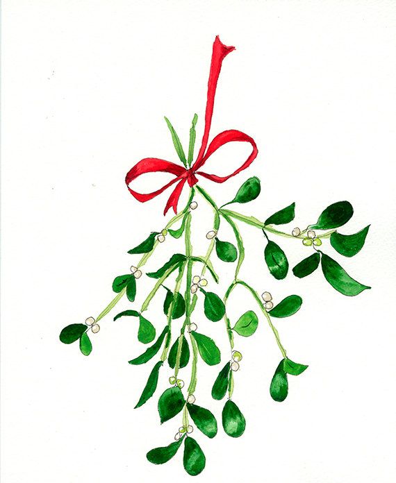570x696 Oh Ho The Mistletoe Print From My Original Watercolor, Pen And Ink - Mistletoe Watercolor