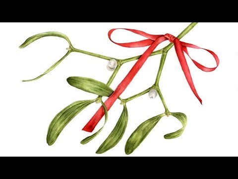 480x360 How To Paint Realistic Mistletoe With A Bright Red Ribbon In - Mistletoe Watercolor