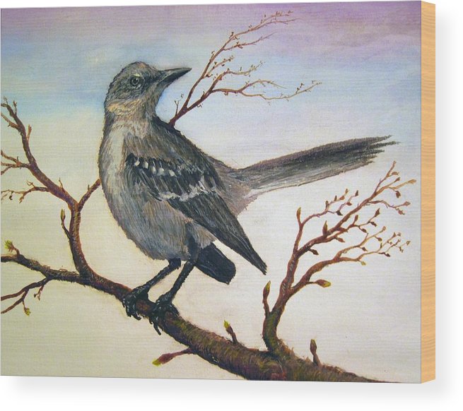 655x582 Mockingbird Wood Print By Forrest C Greenslade Phd - Mockingbird Watercolor