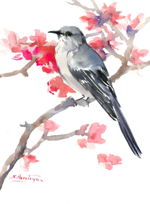 626x850 Mockingbird, Original Watercolor Painting,bird Lover Art, Birding - Mockingbird Watercolor