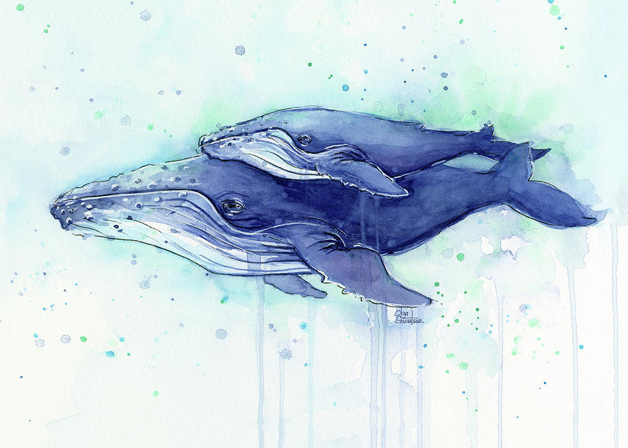 900x642 Humpback Whale Mom And Baby Watercolor Painting By Olga Shvartsur - Mom Watercolor