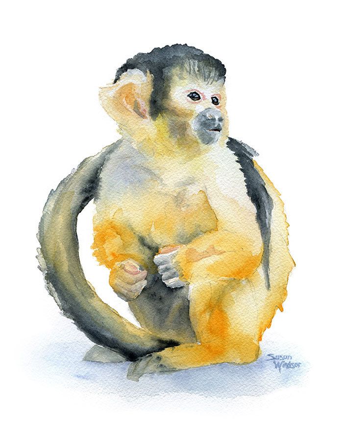 700x891 Monkey Watercolor Painting - Monkey Watercolor