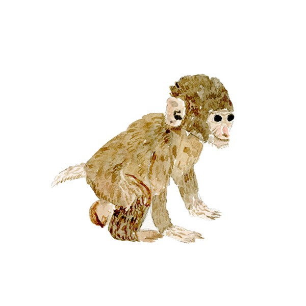 600x600 Peeps Paper Products Baby Monkey Watercolor Print - Monkey Watercolor