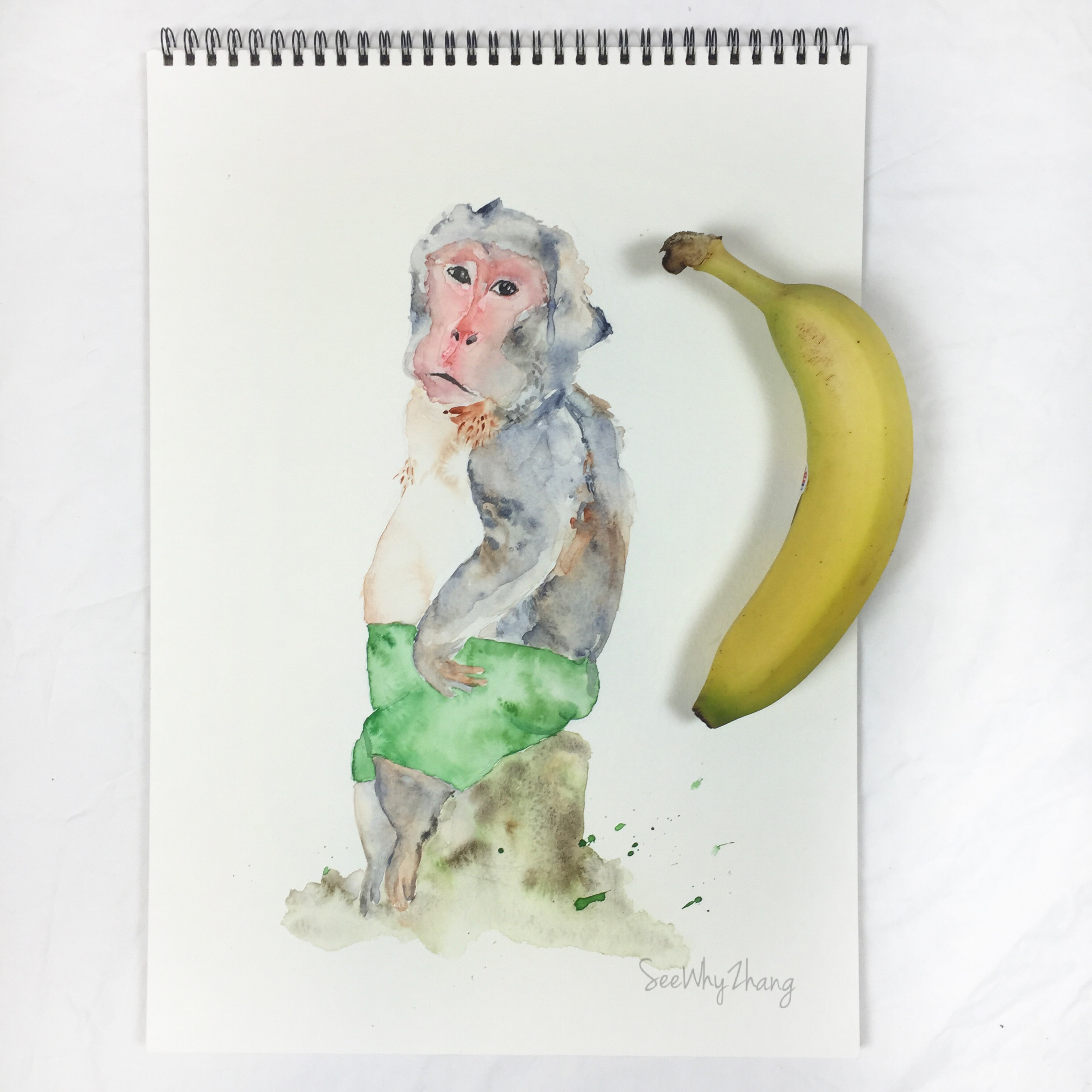 2448x2448 Posing Monkey Watercolor W Banana For Scale - Monkey Watercolor