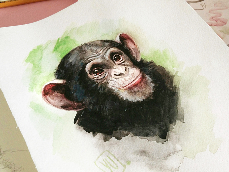 800x600 Watercolor Monkey By Elena Yudina - Monkey Watercolor