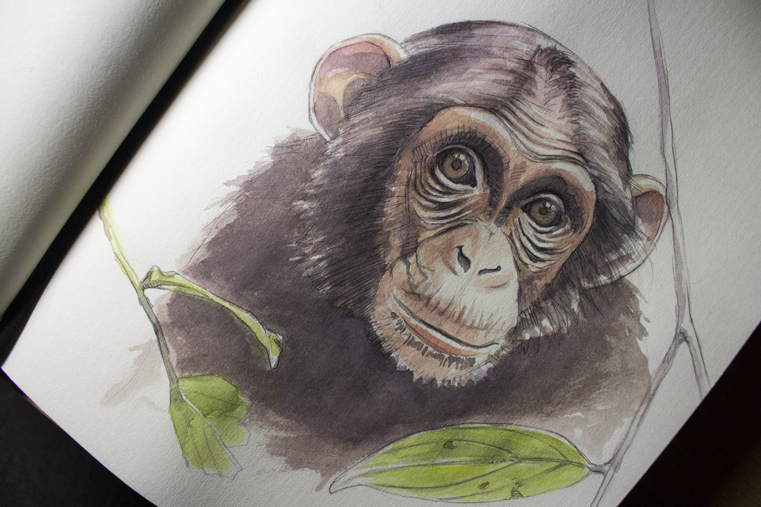 1095x730 Watercolor Little Cute Monkey By Ondraede - Monkey Watercolor