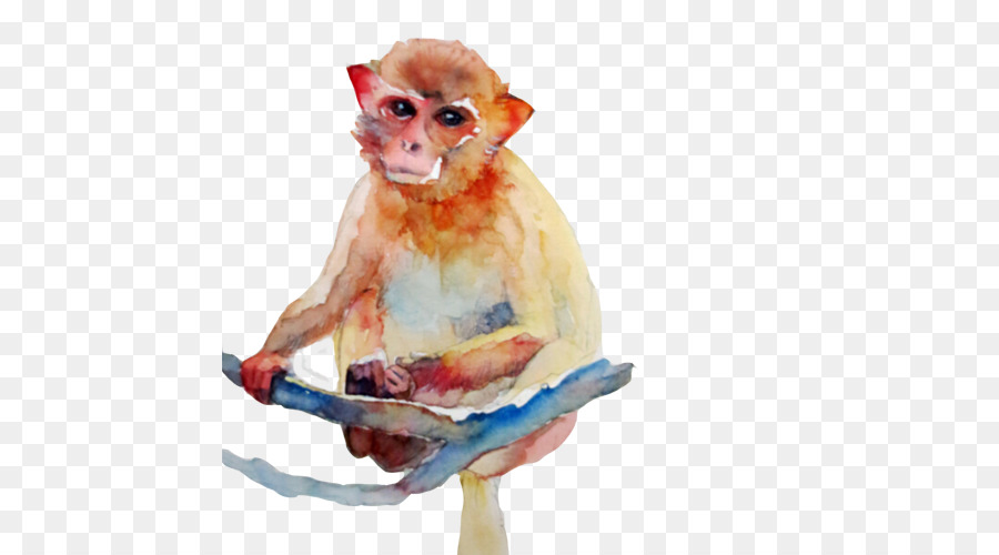 900x500 Cercopithecidae Watercolor Painting Monkey - Monkey Watercolor