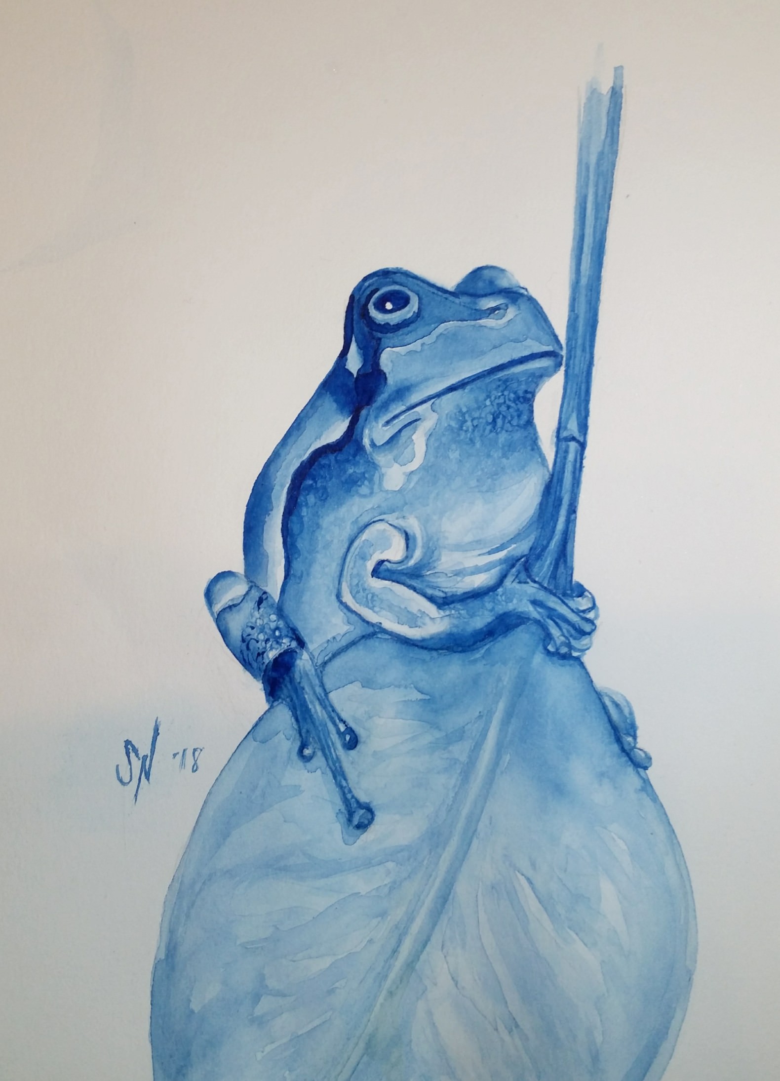 1580x2189 Monochromatic Watercolor Frog - Monochromatic Watercolor
