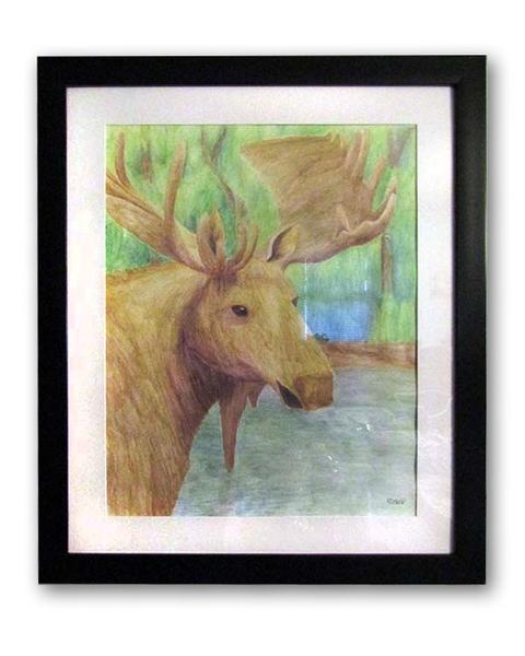 480x600 Moose - Moose Watercolor