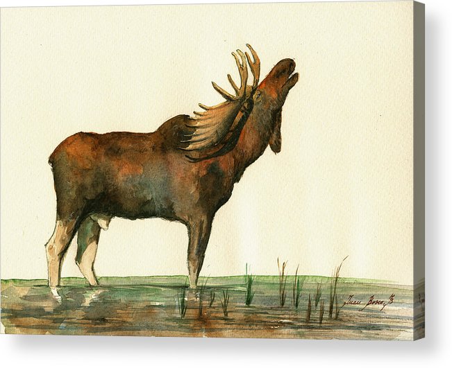 651x531 Moose Watercolor Painting. Acrylic Print By Juan Bosco - Moose Watercolor