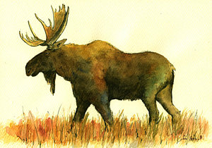 300x210 Moose Watercolor Paintings Fine Art America - Moose Watercolor