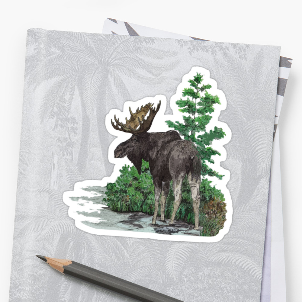 1000x1000 Moose Watercolor Stickers By Saltypro Redbubble - Moose Watercolor