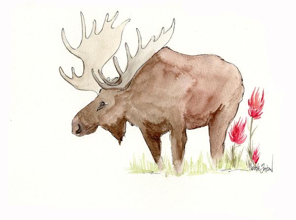 600x446 Watercolor Moose With Indian Paintbrush - Moose Watercolor