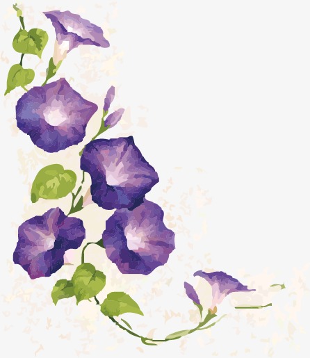 446x515 Morning Glory, Morning Clipart, Watercolor Png Image And Clipart - Morning Glory Watercolor