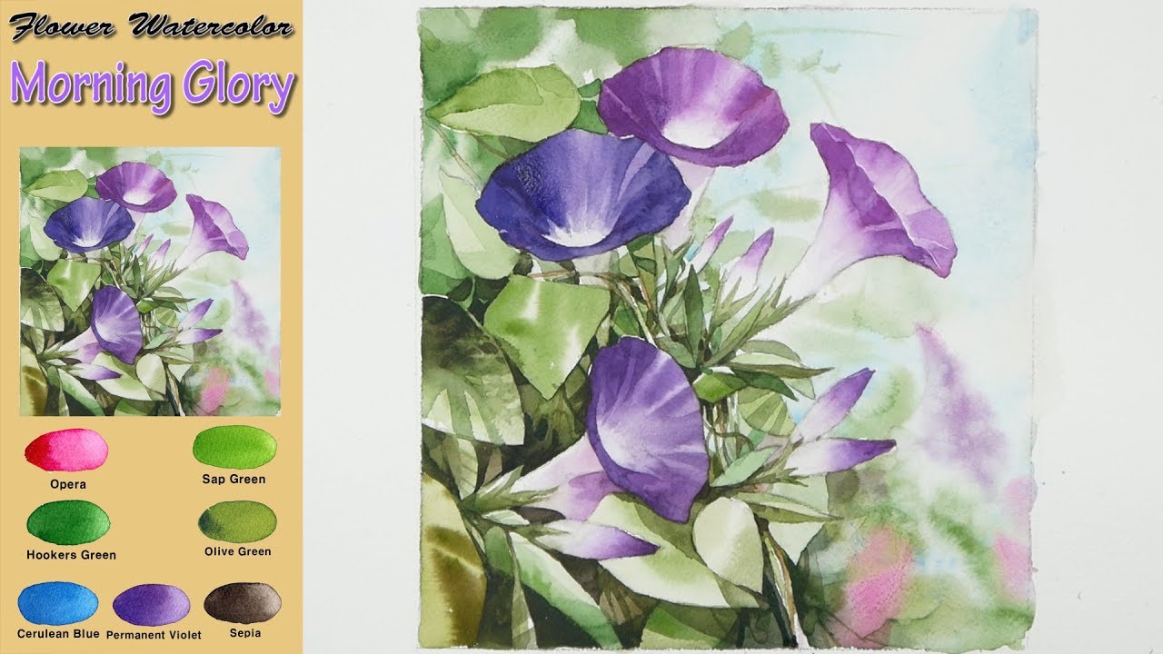 1280x720 Morning Glory - Morning Glory Watercolor