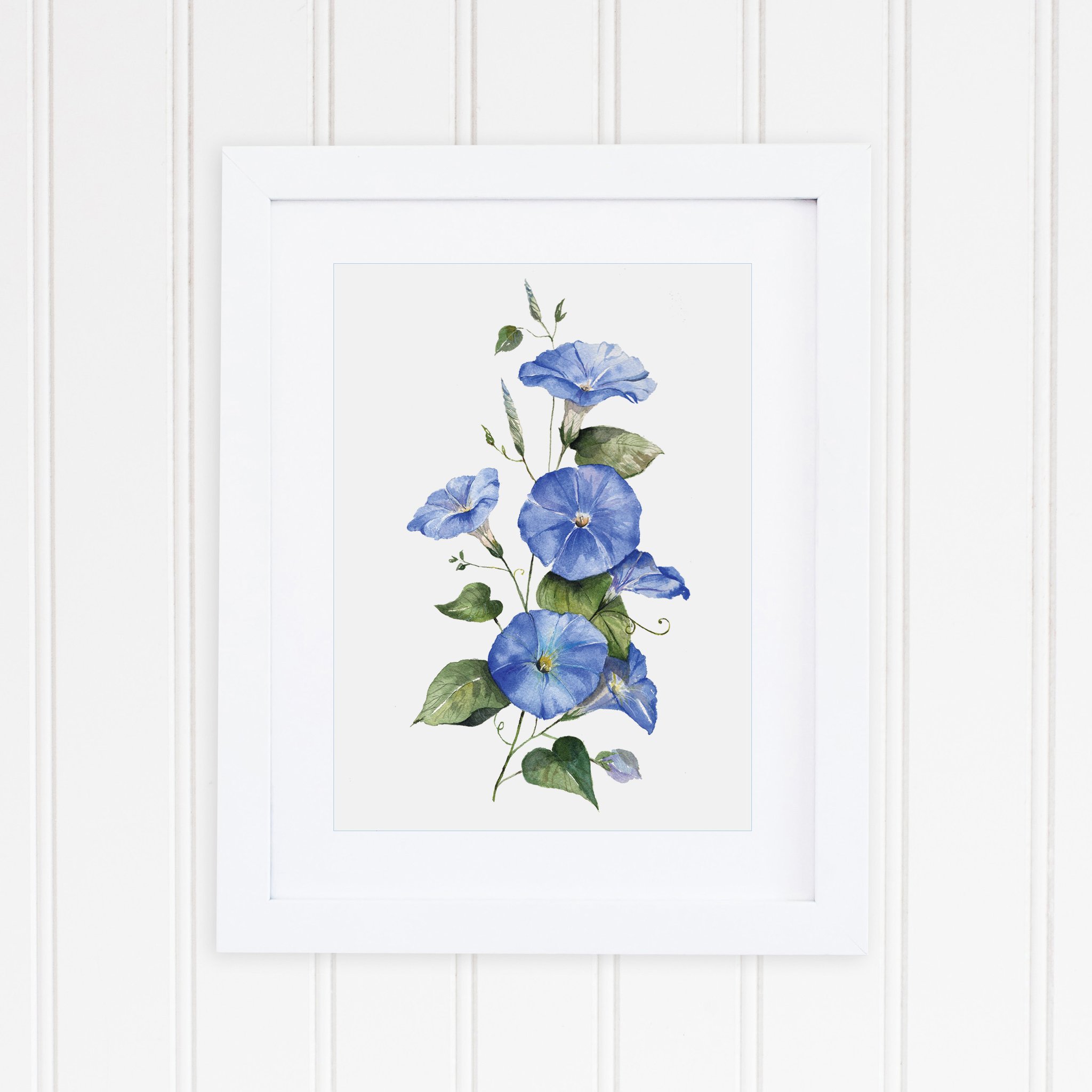 2048x2048 Morning Glory Art Print - Morning Glory Watercolor