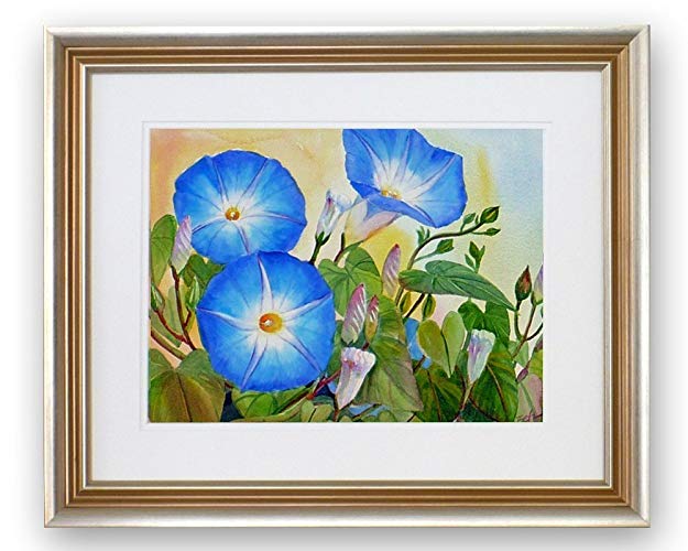 625x500 Morning Glory Watercolor Flower Painting 17x21 Framed - Morning Glory Watercolor