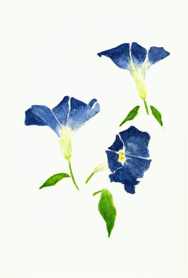 610x900 Morning Glory Painting By Michael Vigliotti - Morning Glory Watercolor