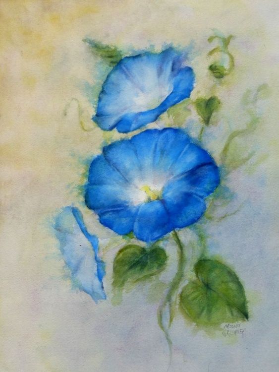 563x750 Morning Glory In 2018 Art Board International Art - Morning Glory Watercolor