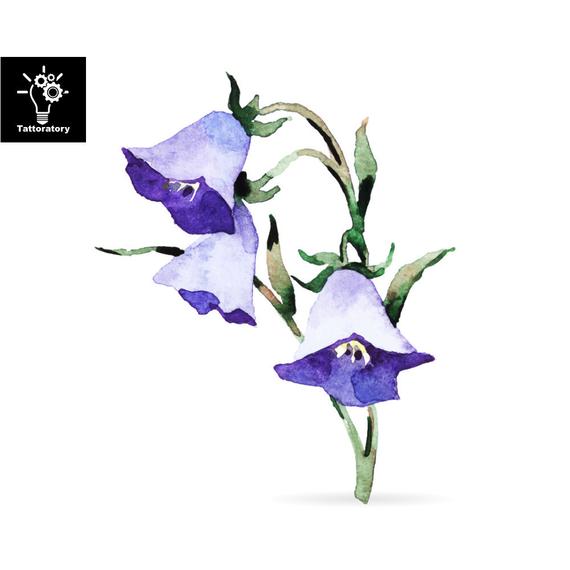 570x570 Temporary Tattoo Watercolor Flower Tattoo Morning Glory Tattoo Etsy - Morning Glory Watercolor