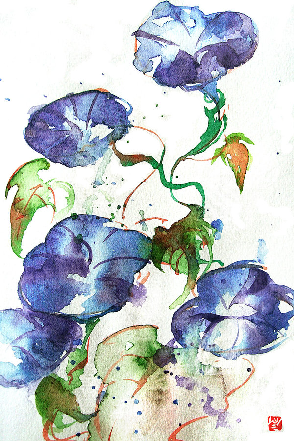 Morning Glory Watercolor At Explore Collection Of