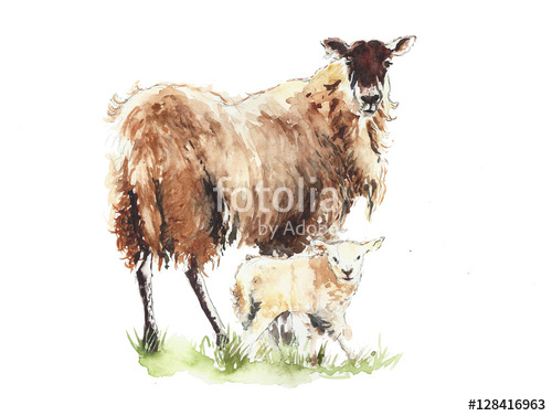500x377 Sheep With Lamb Mother And Child Animals Watercolor Painting - Mother And Child Watercolor