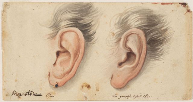 640x339 My Ear And An Ordinary Ear, Watercolor And Ink, By Wolfgang - Mozart Watercolor