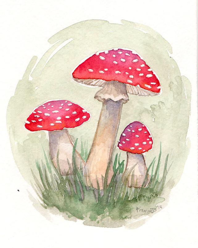642x803 Red Mushroom Watercolor Print Forest Nature Whimsical Etsy - Mushroom Watercolor