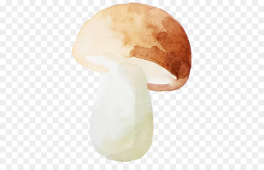 900x580 Watercolor Flowers Watercolor Painting - Mushroom Watercolor