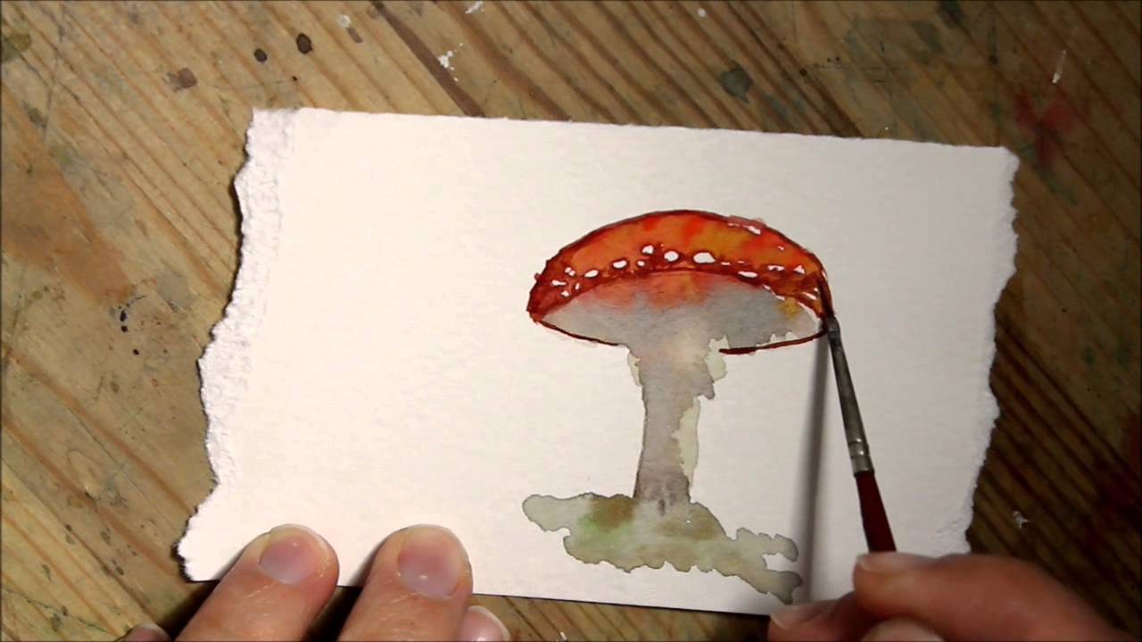 1280x720 Watercolor Mushroom Aceo - Mushroom Watercolor