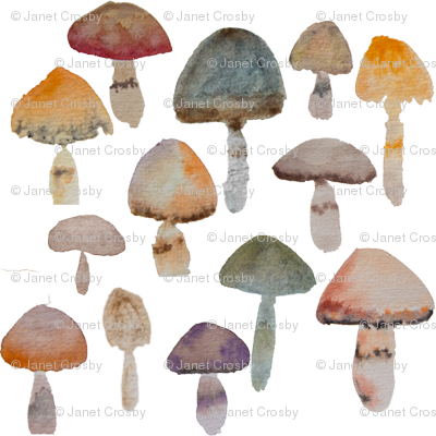 400x400 Watercolor Mushrooms - Mushroom Watercolor