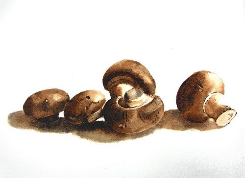 500x364 Watercolor Mushrooms Funghi Mushrooms, Watercolor - Mushroom Watercolor