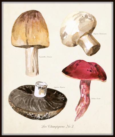 403x480 Watercolor Mushrooms Botanical Print Set Belle Maison Art - Mushroom Watercolor