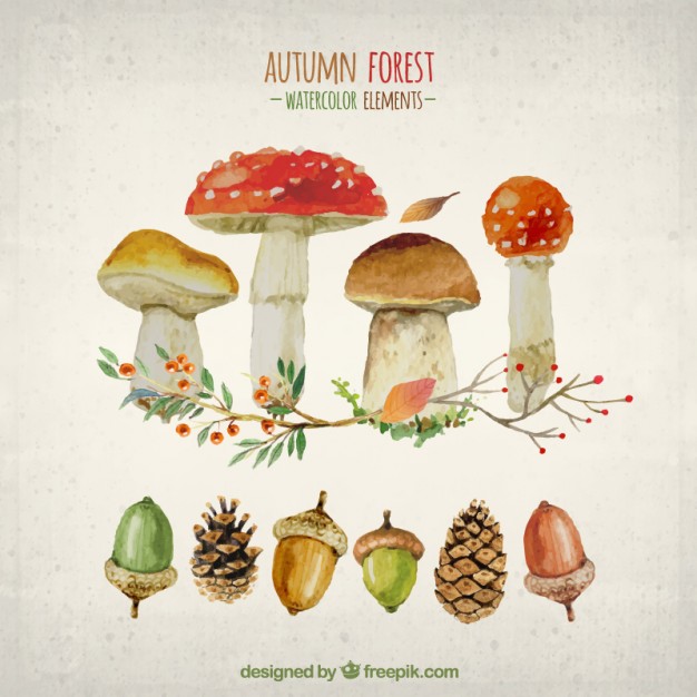 626x626 Watercolor Elements Of Autumn Forest Vector Free Download - Mushroom Watercolor