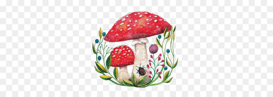 900x320 Edible Mushroom Watercolor Painting Fungus - Mushroom Watercolor