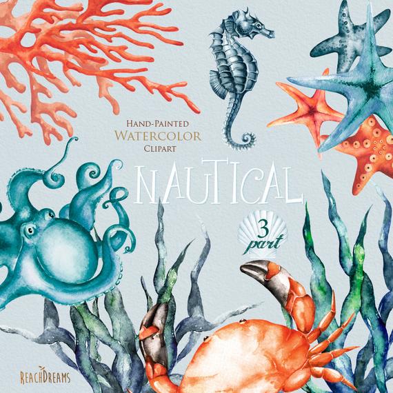 570x570 Nautical Watercolor Clipart. Marine. Ocean. Individual Png Etsy - Nautical Watercolor