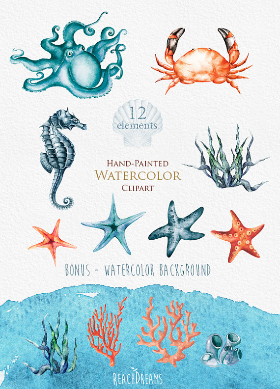 570x792 Nautical Watercolor Clipart. Marine. Ocean. Individual Png - Nautical Watercolor