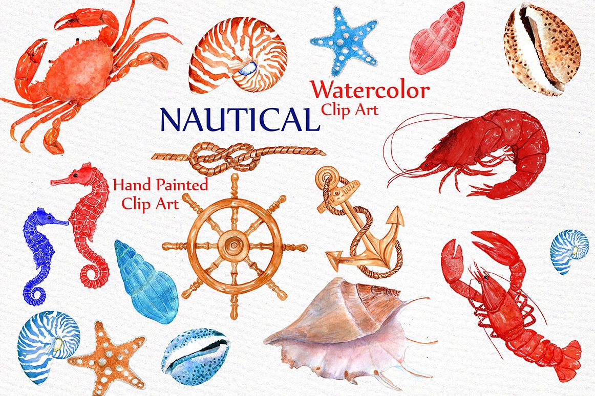 1162x774 Seashell Nautical Watercolor Clipart - Nautical Watercolor
