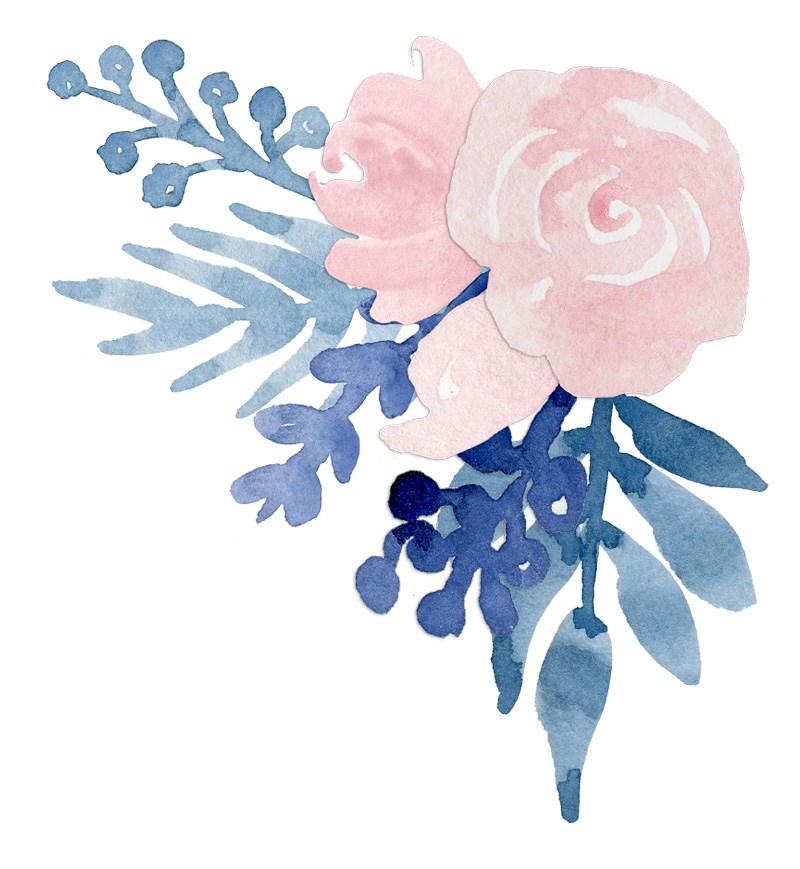 800x869 Watercolor Flower Navy Blue Blush Pink Floral Clip Art - Navy Blue Watercolor
